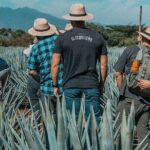 Private Tour to El Tequileño Distillery and visit to Tequila - Practical Details and Value