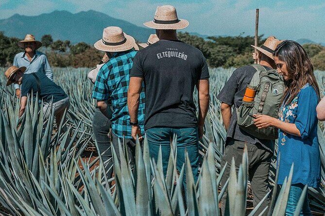 Private Tour to El Tequileño Distillery and visit to Tequila - Practical Details and Value