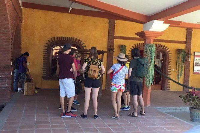 Private Tour to Hierve el Agua, Mezcal Tasting, and Textiles - Final Thoughts: Who Is This Tour Best For?
