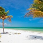 Private Tour To Holbox From Cancun - Final Thoughts