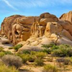 Private tour to Joshua Tree National park from Los Angeles - The Value of a Private Tour