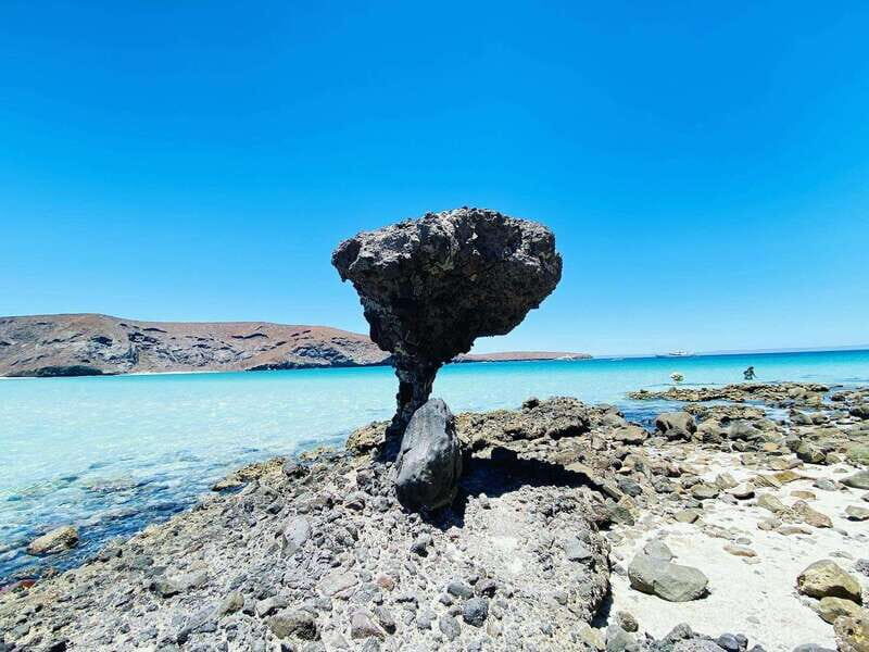 Private tour to La Paz, Balandra and Todos Santos from CABO - Practical Tips for Making the Most of Your Day