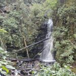 Private Tour to Los Diamantes Waterfall from CDMX - The Ride Begins: Comfortable Transportation from Mexico City