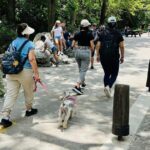 Private Tour to Santiago + Guide + Transfer - Practical Tips for the Best Experience