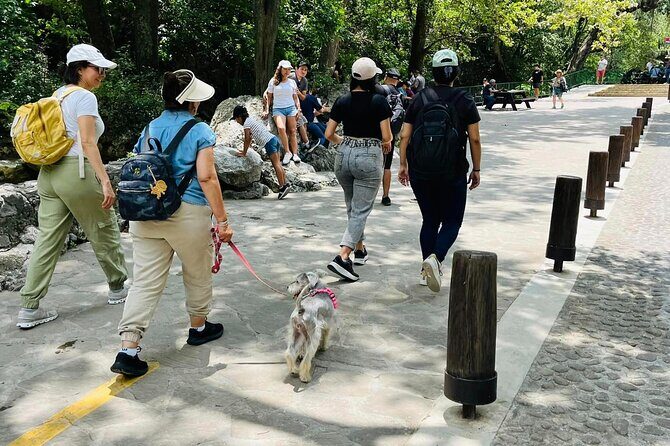 Private Tour to Santiago + Guide + Transfer - Practical Tips for the Best Experience