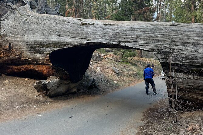Private Tour to Sequoia and Kings Canyon National Parks - What the Tour Cost Means