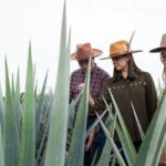 Private Tour to Tequila Ocho Distillery and the Town of Arandas - Authentic Feedback from Travelers
