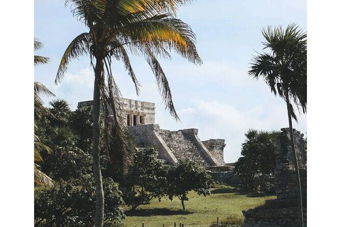 Private Tour to Tulum, Cenote and Swimming with Turtles - Practical Details and What to Expect