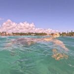 Private Tour: Turtle Swim & Underground Cenote - The Experience in Detail