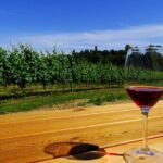 Private Tour: Vancouver Half Day Wine Tasting Tour - The Itinerary in Detail