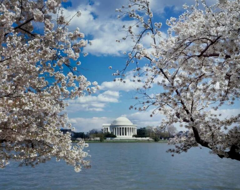 PRIVATE TOUR Washington DC: Private Tour with Luxury SUV 6h - FAQ