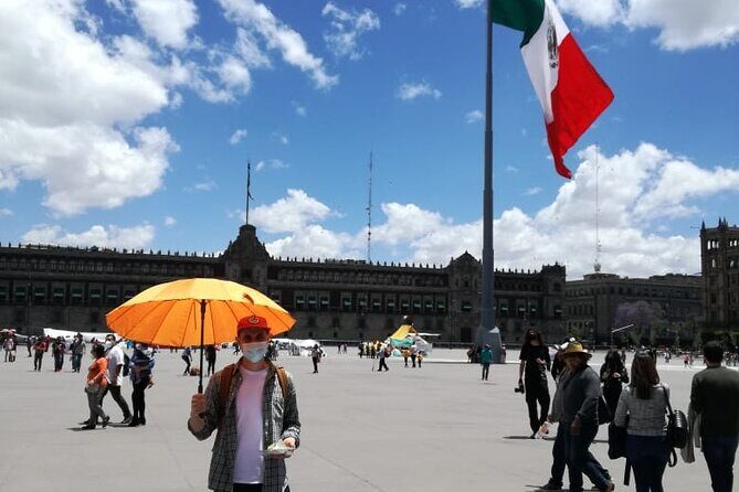 Private Tour Zocalo and Basilica of Guadalupe. With driver and guide - Who Is This Tour Best For?
