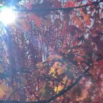 Private Tours (Group of 5-7) - Final Thoughts