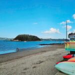 Private Tours in Bay of Islands - The Itinerary: What to Expect