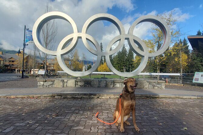 Private Tour:Whistler+Sea 2 sky gondola+Shannon Fall+Green Lake - What Makes This Tour Stand Out?