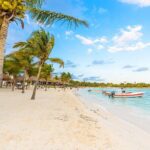 Private Transfer: Akumal to Cancun Airport CUN in SUV - A Closer Look at the Details