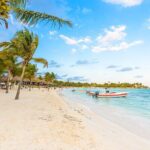 Private Transfer: Cancun Airport CUN to Akumal in SUV - The Experience and Service Quality