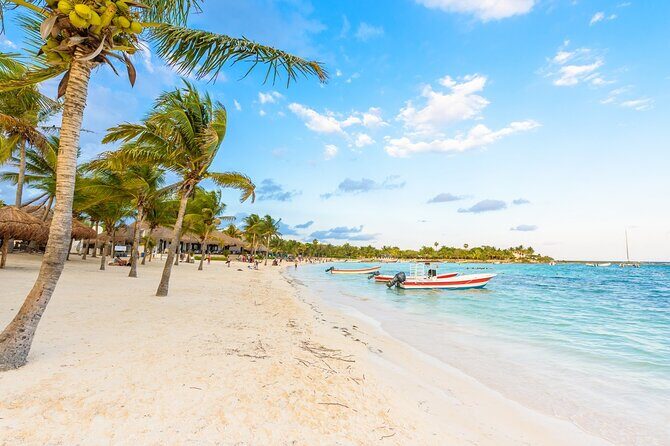 Private Transfer: Cancun Airport CUN to Akumal in SUV - The Experience and Service Quality