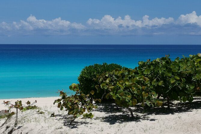 Private Transfer-Cancun Airport-Playa del Carmen One Way - Why This Transfer Stands Out