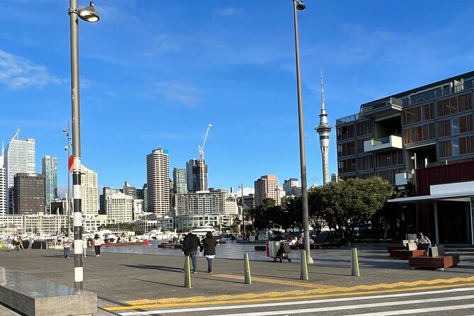 Private Transfer From Auckland Airport Oaks To Auckland City - In-Depth Look at the Experience