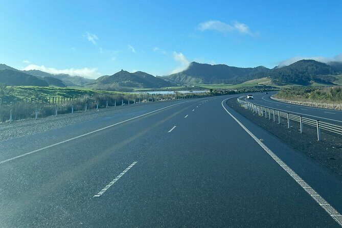 Private Transfer From Auckland Airport To Hamilton - The Final Word: Is It Worth It?