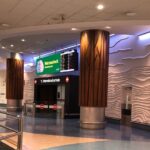 Private Transfer From Auckland International Airport To Auckland City - The Experience: What To Expect