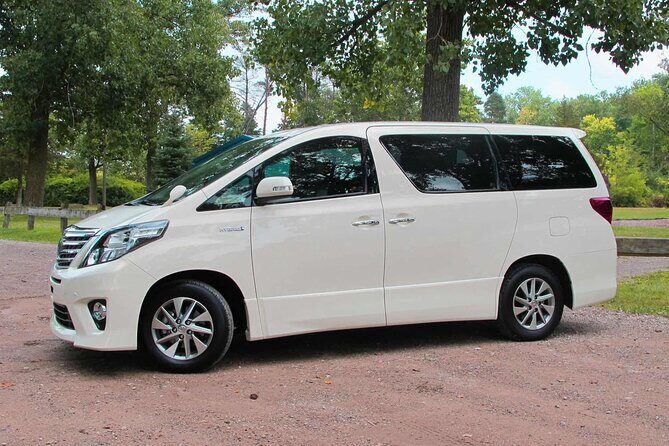 Private Transfer from Cruise Port to Puerto Vallarta Airport(PVR) - The Downside: Things to Consider