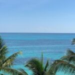 Private transfer from Guadalajara to Puerto Vallarta - Who Should Consider This Service?