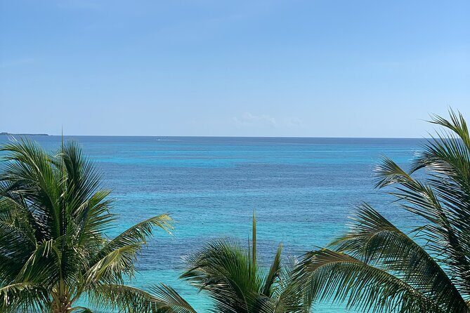 Private transfer from Guadalajara to Puerto Vallarta - Who Should Consider This Service?