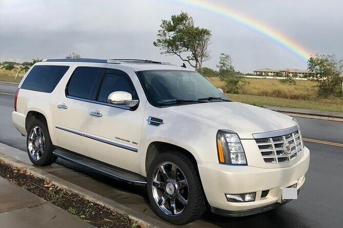 Private Transfer from Hilo Cruise Port to Kona city hotels - Is It Worth the Price?