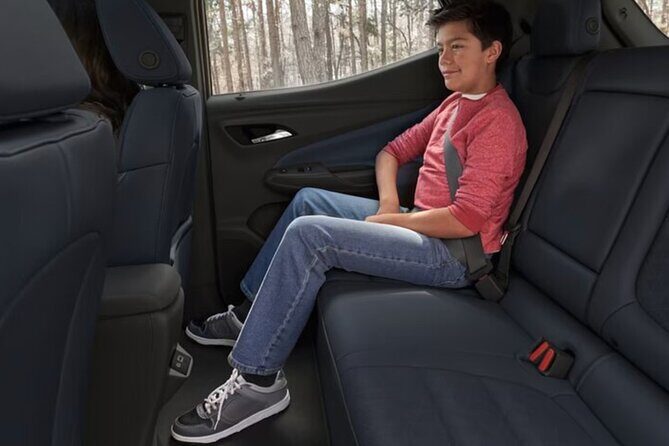 Private Transfer From New Orleans To Baton Rouge - The Vehicle and Comfort