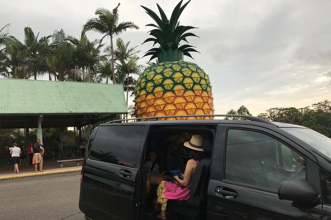 Private Transfer from Sunshine Coast Airport to Noosa up to 5 pax - FAQs