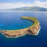 Private Transfer Kahului Airport OGG to Maui Kihei Lahaina Wailea - Customer Experience and Reviews