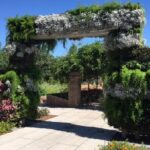 Private Transfer: Louis Armstrong Airport MSY to New Orleans in Business Car - Who Is This Best For?