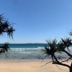 Private Transfer to or from Sunshine Coast Airport (MCY) - What to Expect During the Ride