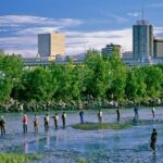 Private Transfer, Whittier Cruise ship to Anchorage - The Price and Its Value