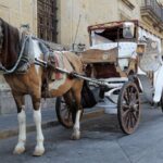 Private Transportation from Guadalajara to Puerto Vallarta - Practical Considerations and Tips