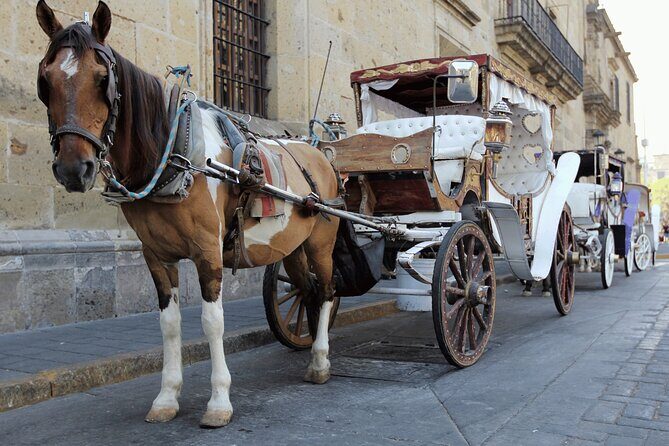 Private Transportation from Guadalajara to Puerto Vallarta - Practical Considerations and Tips