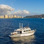 Private Turtle Canyon Snorkel Tour - Up to 6 Passengers - The Itinerary: What’s in Store