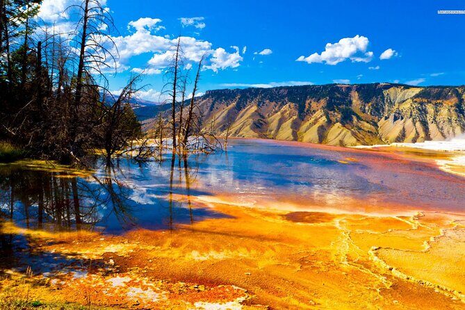 Private Upper Loop Tour of Yellowstone National Park - What to Expect from the Itinerary