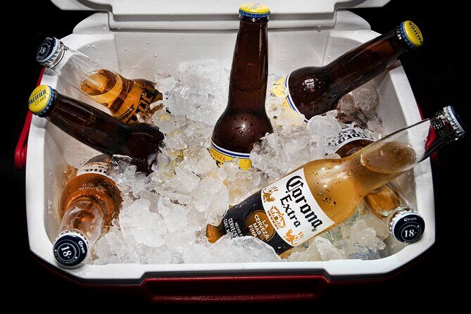 Private VAN Round-Trip from Airport to Hotels in The Corridor - The Real Deal – What Travelers Are Saying