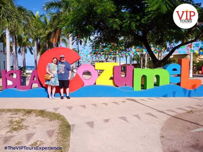 Private Van Service. Tasting the best of Cozumel - Breaking Down the Experience: What to Expect