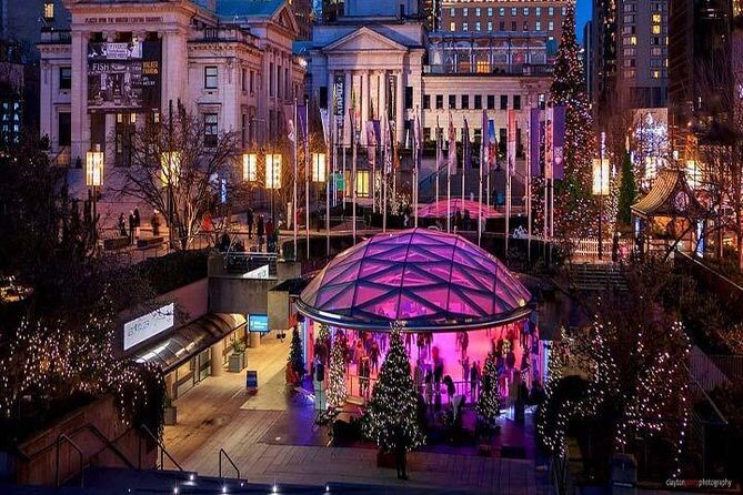 Private Vancouver To Whistler Transfer One Way - Who Is This Tour Best For?