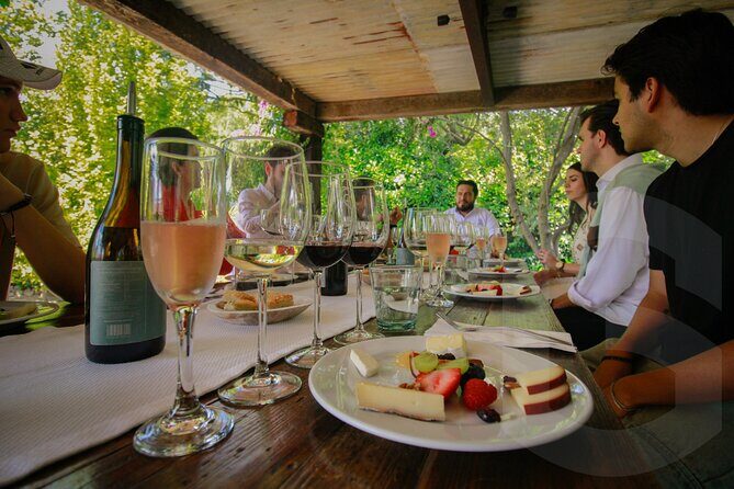 Private Vineyard and Wine Testing Tour From Guanajuato - The Itinerary: A Closer Look