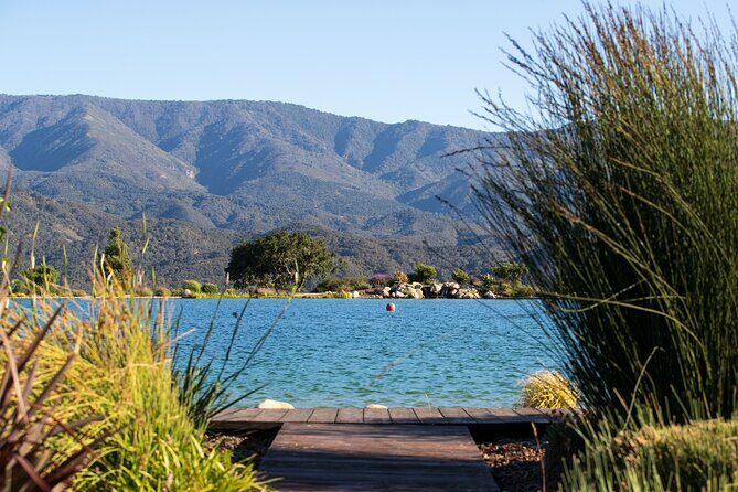 Private Vineyard Tour and Wine Tasting - Who Should Consider This Tour?