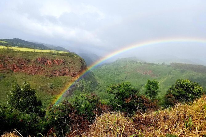 Private Waimea Canyon Tour - The Value of a Private Guided Tour