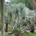 Private Walking Tour to St. John's Botanical Garden - An In-Depth Look at the St. John’s Botanical Garden Tour