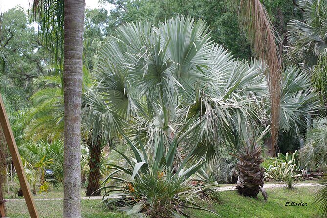 Private Walking Tour to St. John's Botanical Garden - An In-Depth Look at the St. John’s Botanical Garden Tour