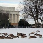 Private Washington DC Tour with Changing of the Guard Ceremony - What Travelers Say About This Tour