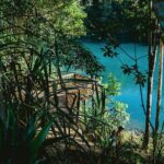 Private Waterfall and Rainforest Day Tour - A Deep Dive into the Experience